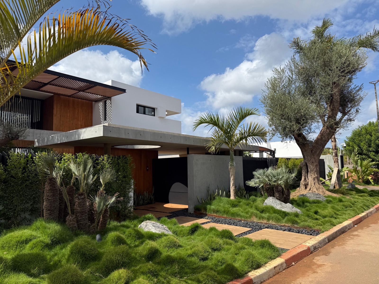 Villa moderne au Maroc avec jardin complet en Zoysia tenuifolia, olivier centenaire et chemin en bois