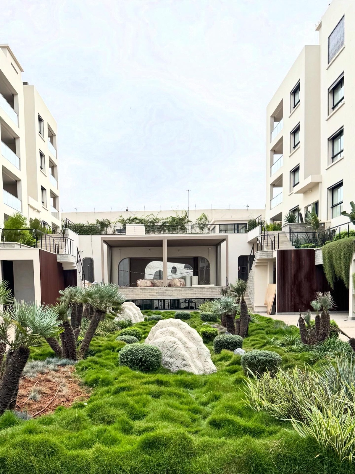 Zoysia tenuifolia dans une cour de residence de luxe au Maroc — texture moutonnante avec palmiers et rochers